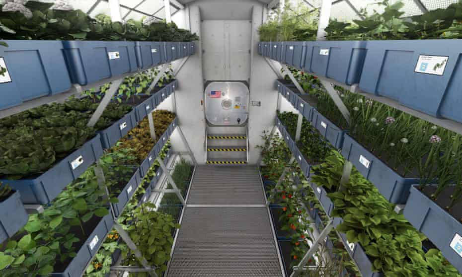 Artist’s impression of a hydroponic cultivation area