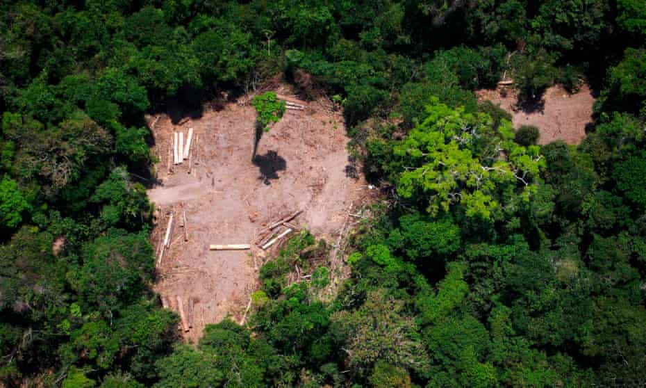 View of an illegal felling area in the Amazon forest. Ricardo Galvão says ‘enormous’ damage had already been done since Bolsonaro took power in January.