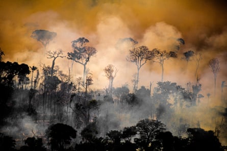Burning forest in Lábrea, Amazonas state in August 2020.