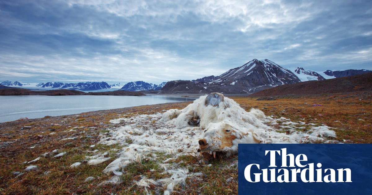 National Geographic Nature Photographer Of The Year 16 In Pictures Art And Design The Guardian