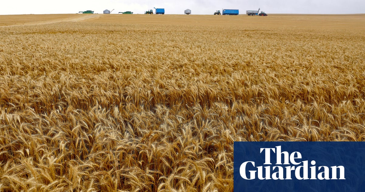 UK trade deal with Australia amounts to ‘offshoring’ pesticide use, MPs warn