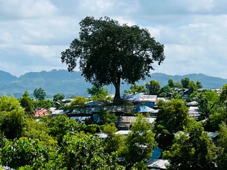 The lone banyan tree that towers over and provides shade to the shelters around it can be seen for miles. Most trees were cut down to make space for the camps when 700,000 Rohingya rapidly arrived in 2017.