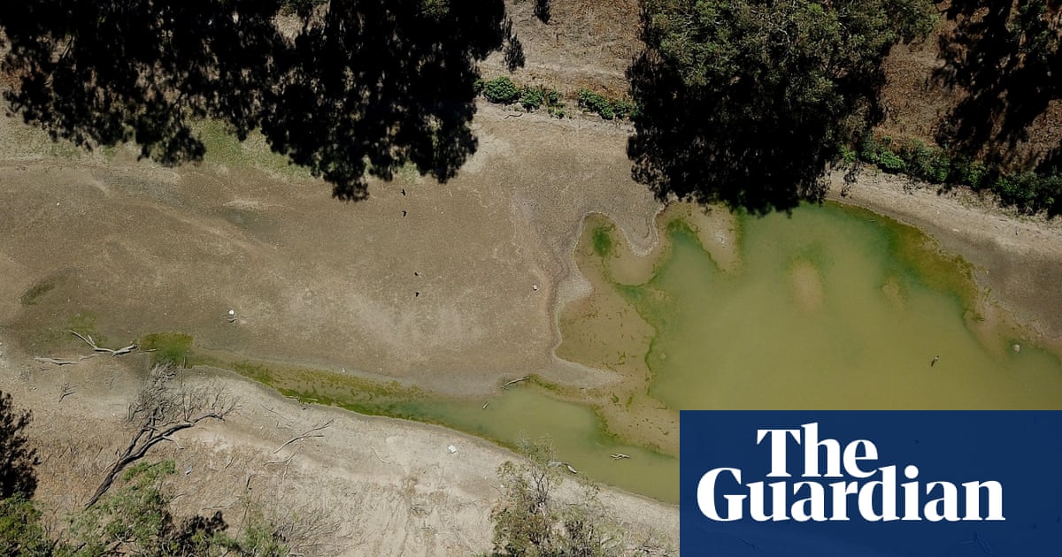NSW exceeds Barwon-Darling water allocations in first year of compliance after regime overhaul - The Guardian Australia