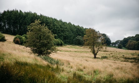 بعض الأراضي المحيطة بالمنزل الذي يعيش فيه Sture وHexall الآن.