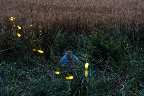 A man crouches among grass where the lights of fireflies glow
