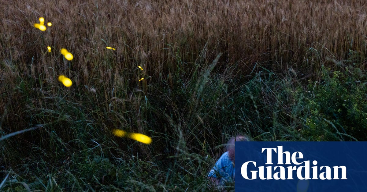 Lights out: can we stop glow-worms and fireflies fading away?