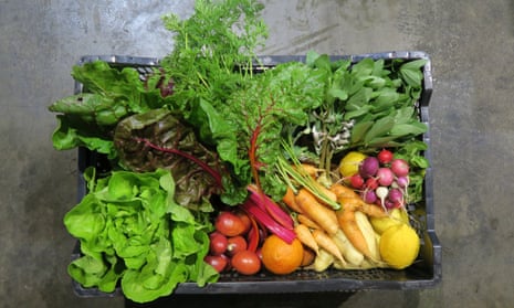 A reusable crate full of fresh fruit and vegetables
