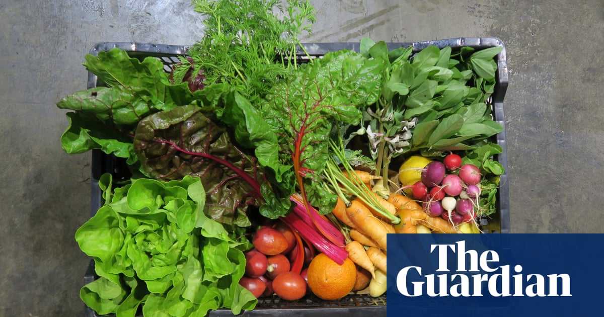 Victoria trials reusable crates for fresh produce to cut ‘invisible’ waste from supply chain | Victoria