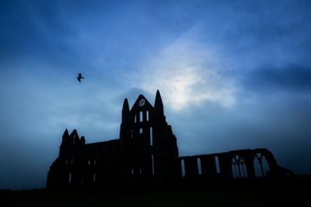 Silhouette of Whitby Abbey’s ruined Gothic arches against a moody blue sky, a bird flying nearby