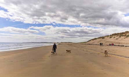 A person walking dogs on the beach a Druridge Bay on a sunny day