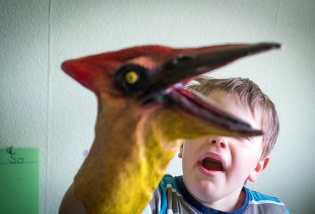 A child with a toy bird covering part of their face