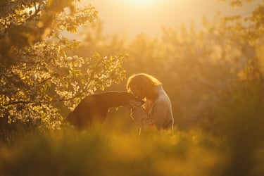 A woman kisses the muzzle of an old dog