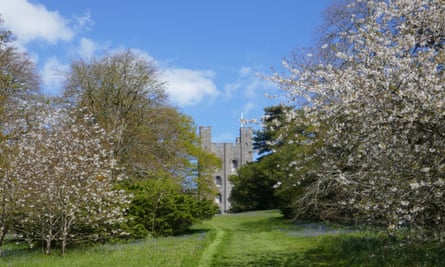 Blossom and bluebells at Penrhyn Castle.