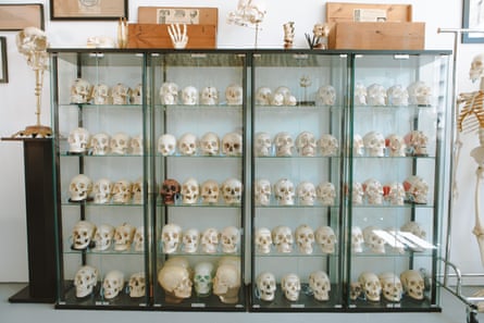 A collection of human skulls.