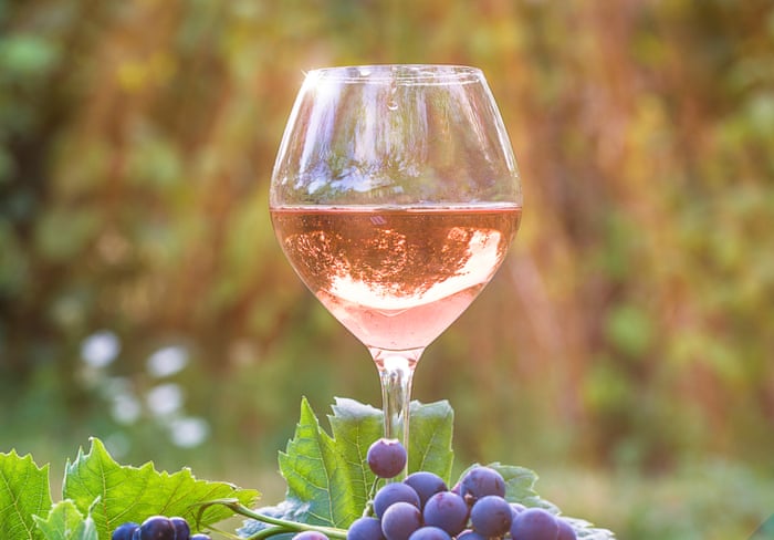War of the ross: why wine experts are furious about the blush-pink drink | Wine | The Guardian War of the ross: why wine experts are furious about the blush-pink drink | Wine | The Guardian