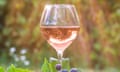 Glass of pink wine and red grapes with leaves on old barrel in green garden on sunny day. Vertical picture