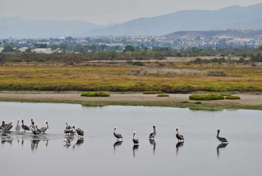 Vista do Estuário do Rio Tijuana.