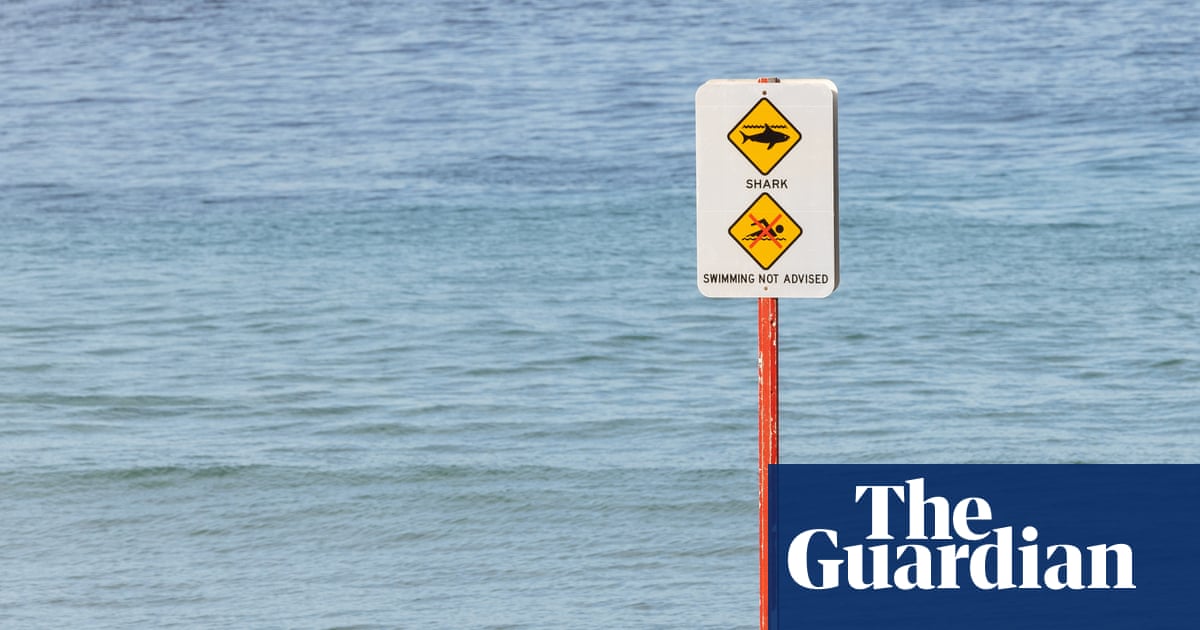 Woman has arm amputated after Coogee shark attack, ‘devastated’ family say Woman has arm amputated after Coogee shark attack, ‘devastated’ family say