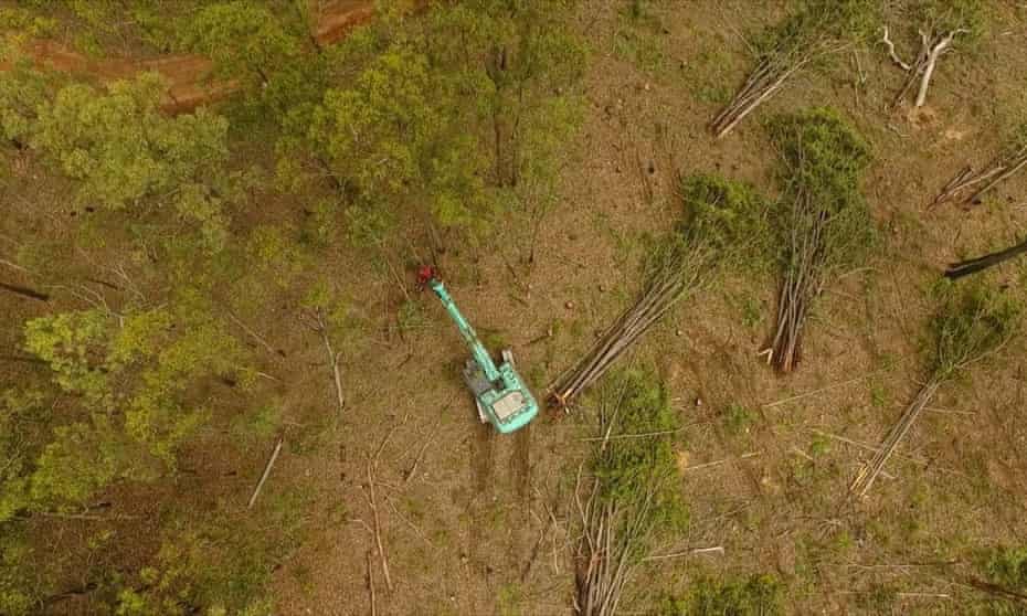 Aerial image of a bulldozer clearing trees for an urban expansion near Ipswich, southeast Queensland, April 2017.