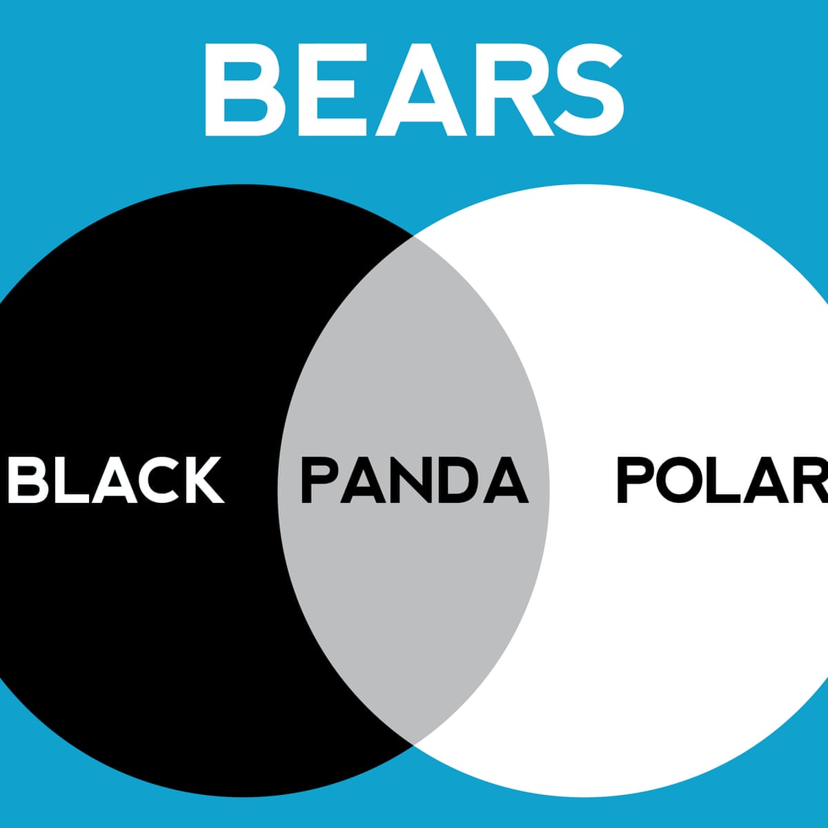 Can You Solve It The Enduring Appeal Of Venn Diagrams Mathematics The Guardian