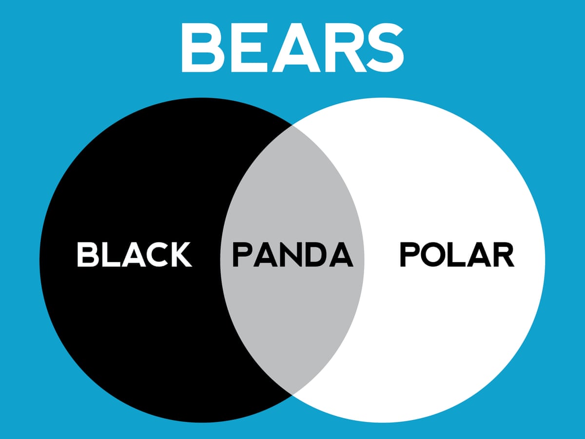 Can You Solve It The Enduring Appeal Of Venn Diagrams Mathematics The Guardian Can You Solve It The Enduring Appeal Of Venn Diagrams Mathematics The Guardian