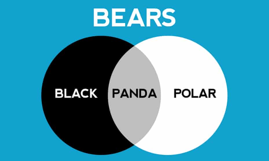 Can you solve it? The enduring appeal of Venn diagrams | Mathematics | The Guardian