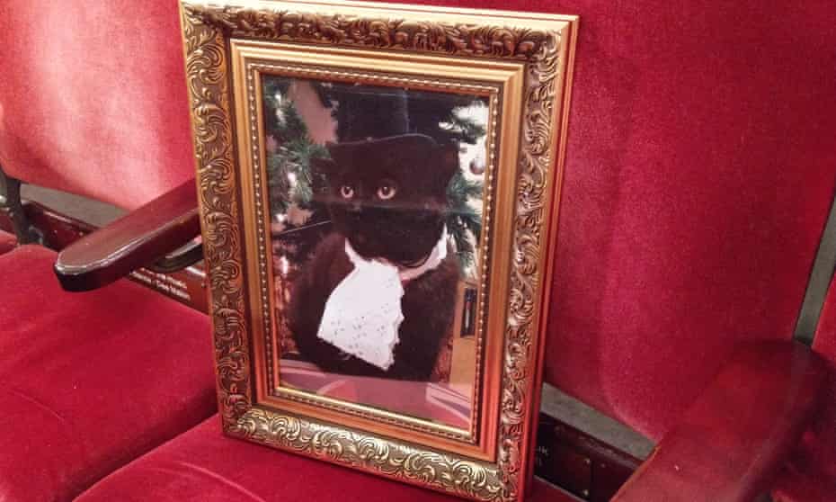 We Sponsored An Opera Seat For Our Cat Readers On Commemorating Their Beloved Pets Pets The Guardian We Sponsored An Opera Seat For Our Cat Readers On Commemorating Their Beloved Pets Pets The Guardian