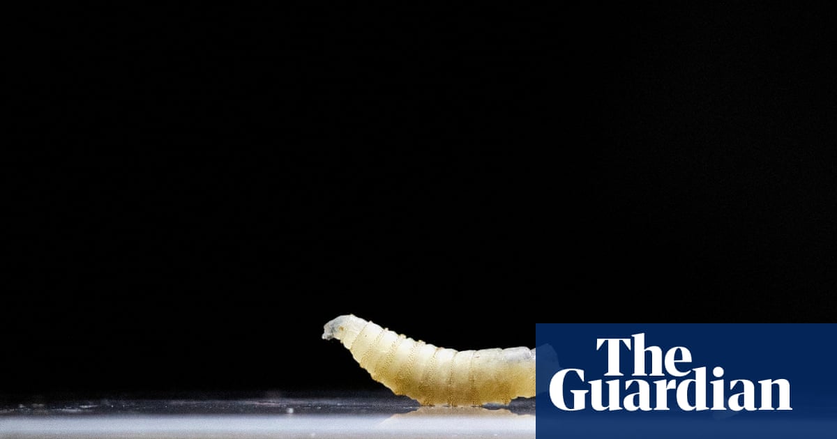 First human case of flesh-eating screwworm parasite confirmed in US
