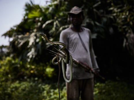 Patrick Atelo displays a live mamba on his fishing spear on the river Ruki