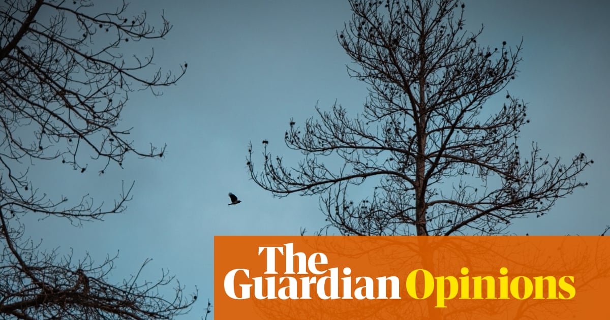 At the turn of the year, I’m facing a pivot point. Midlife crisis? No thanks | Emma Brockes