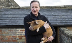 David Cameron visits Coggs farm in Witney, Oxfordshire.