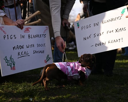 A dachshund dressed as ‘pigs in blankets’