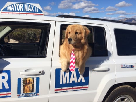 Mayor Max spends his days promoting local businesses and charities and attending town events in Idyllwild, California.