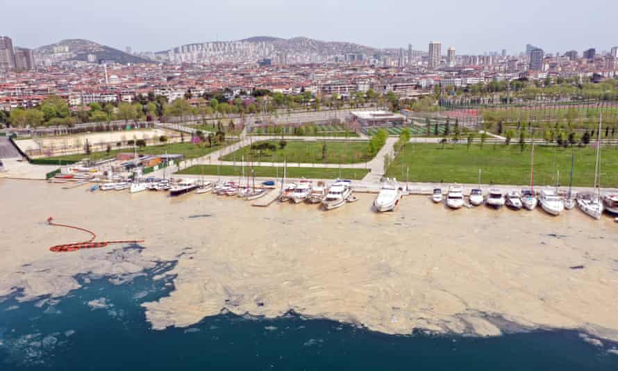 Sea snot near the Maltepe, Kadiköy and Adalar districts of Istanbul.