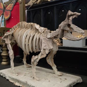 A skeleton prop