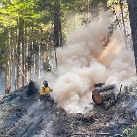 A firefighter stands near a plume of smoke.