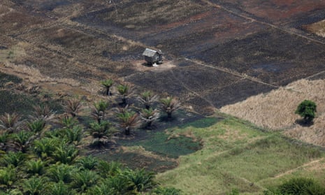 Burnt land next to a palm oil plantation in Central Kalimantan
