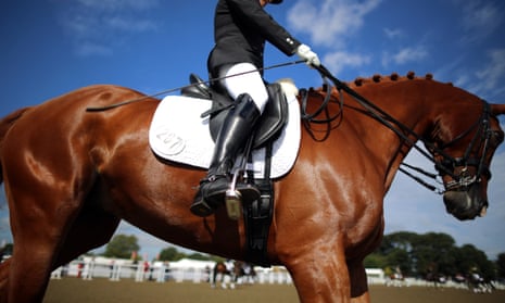 The use of crank nosebands is common in dressage events. The Fédération Equestre Internationale say that there are clear rules on the fitting of nosebands on horses at international events.