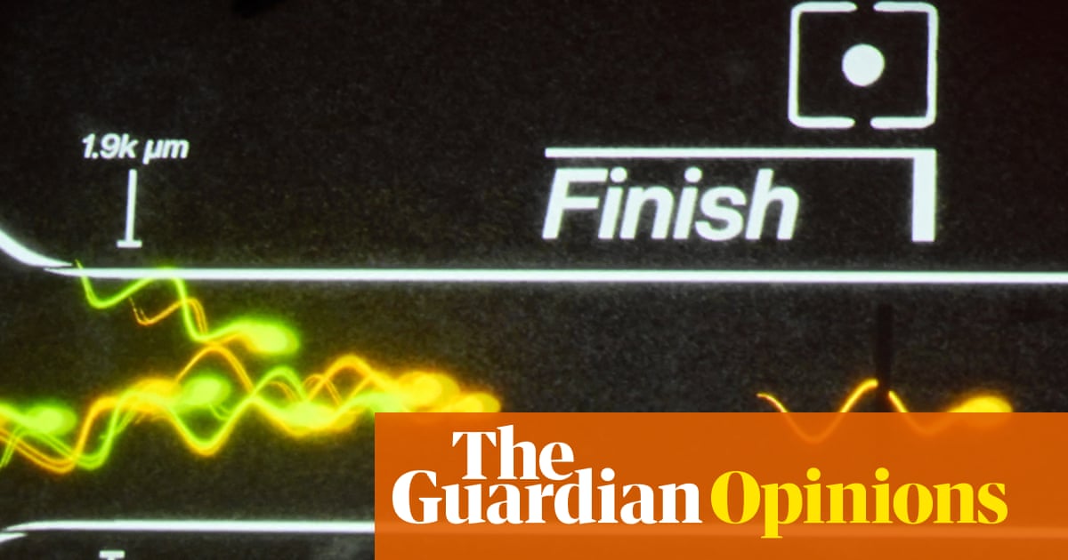 Sperm racing is all the rage among the tech bros. Why am I not surprised?