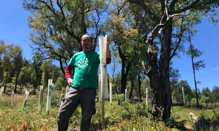 Replanting after the fire. Portugal is a nation of trees, with two-fifths of its landmass forested