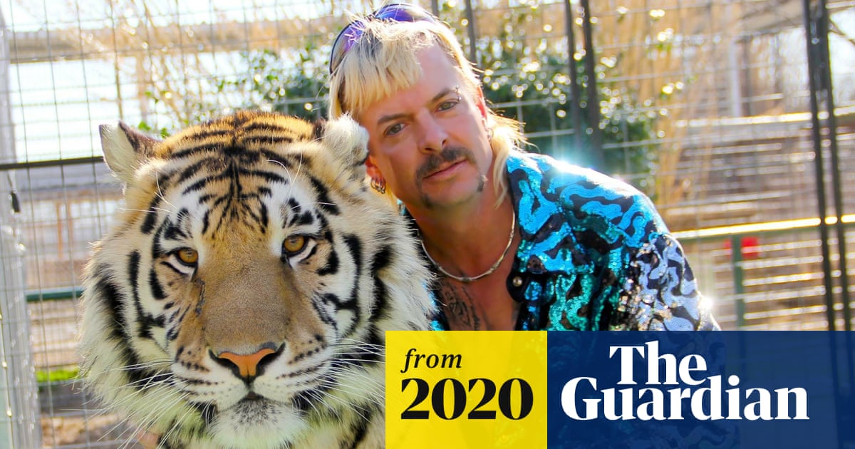 Is Big Cat Rescue Ethical: Unveiling the Truth Behind the Sanctuary