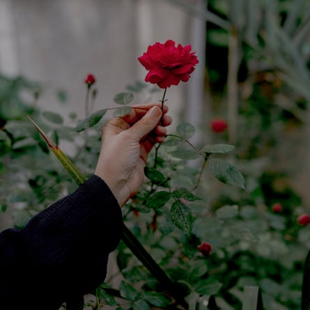 A hand holds up a red rose.