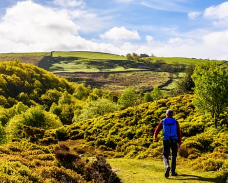 Man walking on lower slopes of Clougha Pike in the Forest of Bowland Lancashire with ruined farmhouse on the skyline.