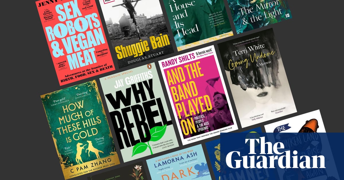 This month’s best paperbacks: Hilary Mantel, Shuggie Bain, sex robots and more