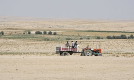 Farmers ride in their tractor in the drought-hit region of Hasaka in northeastern Syria on June 17, 2010. 