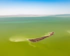 Outback kaleidoscope: Australia’s fabled desert lake bursts to life in rare sight