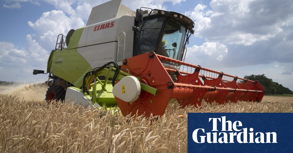Halt use of biofuels to ease food crisis, says green group