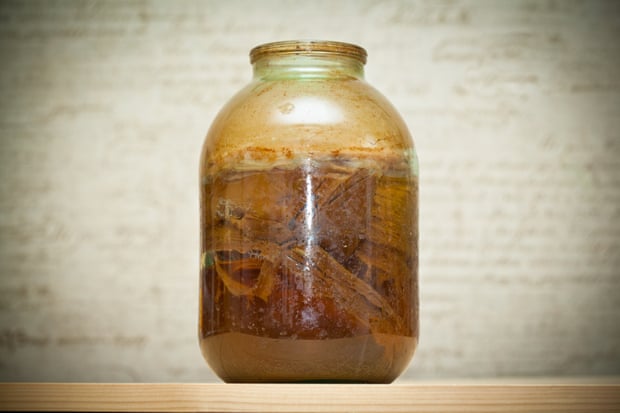 A jar of kombucha, with the ‘mother’ fungus visible.