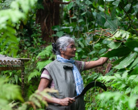A woman with grey hair and glasses standing amid thick foliage in a rainforest