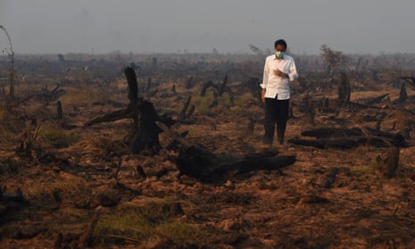Indonesia’s President Joko Widodo inspects peatland in Kalimantan